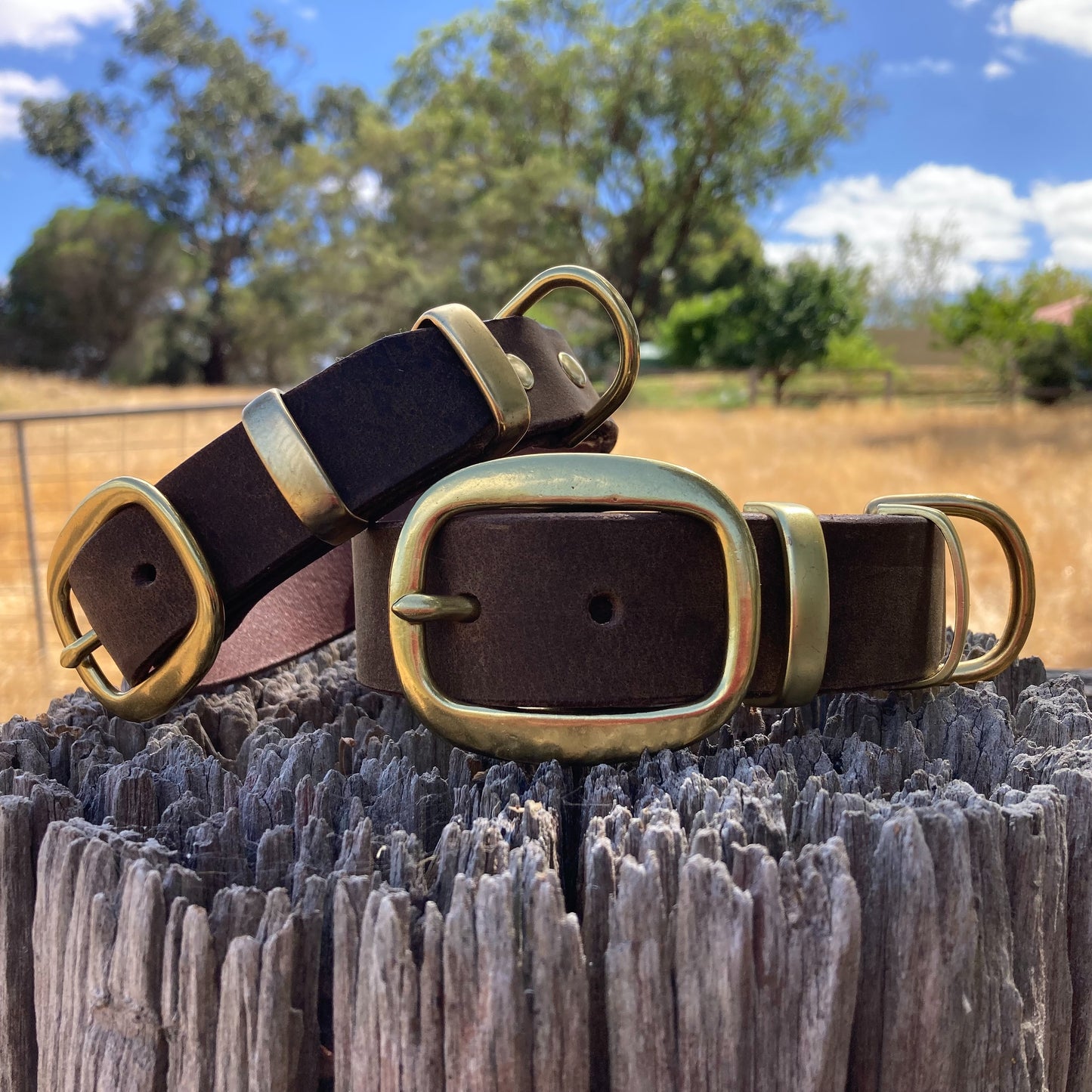 CRAZY BUFFALO PREMIUM LEATHER DOG COLLAR